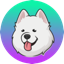 Samoyedcoin